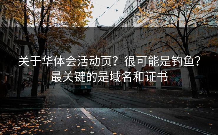 关于华体会活动页？很可能是钓鱼？最关键的是域名和证书
