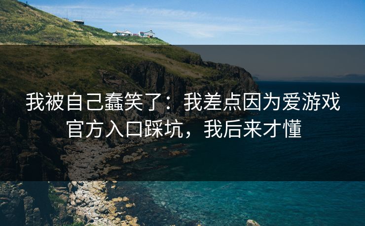 我被自己蠢笑了：我差点因为爱游戏官方入口踩坑，我后来才懂